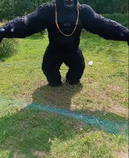 Anime Cosplay Real Life - Costume da gorilla gonfiabile della vita