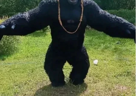 Costume da gorilla gonfiabile  - Anime Cosplay Real Life recensione e prezzo