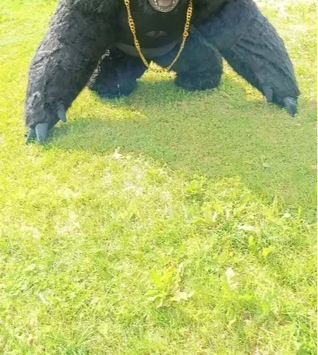 Costume da gorilla gonfiabile  - Anime Cosplay Real Life recensione e prezzo