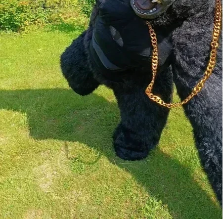 Costume da gorilla gonfiabile  - Anime Cosplay Real Life recensione e prezzo