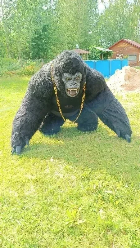 Costume da gorilla gonfiabile  - Anime Cosplay Real Life recensione e prezzo