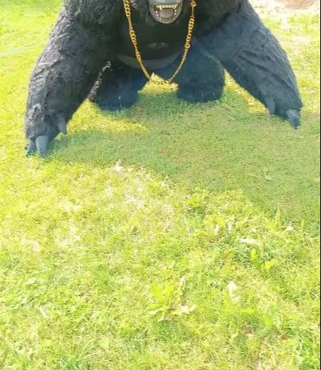 Costume da gorilla gonfiabile  - Anime Cosplay Real Life recensione e prezzo
