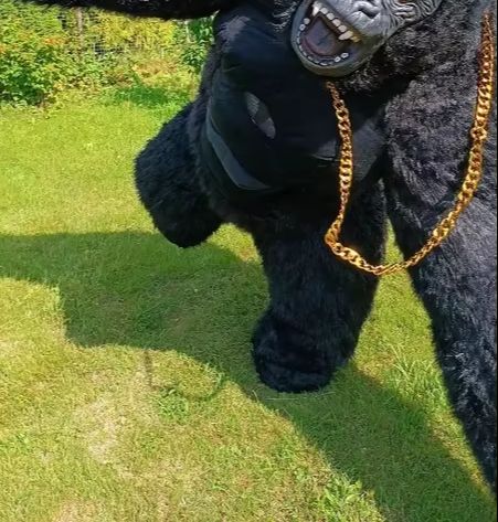 Costume da gorilla gonfiabile  - Anime Cosplay Real Life recensione e prezzo