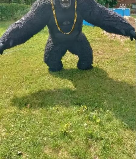 Costume da gorilla gonfiabile  - Anime Cosplay Real Life recensione e prezzo